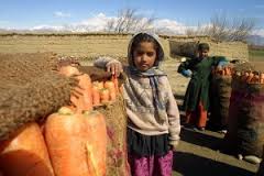 afghanistan-79526_960_720