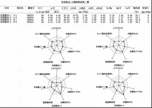 グラフィックス17