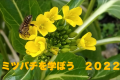 【ミツバチをまなぼう2022】